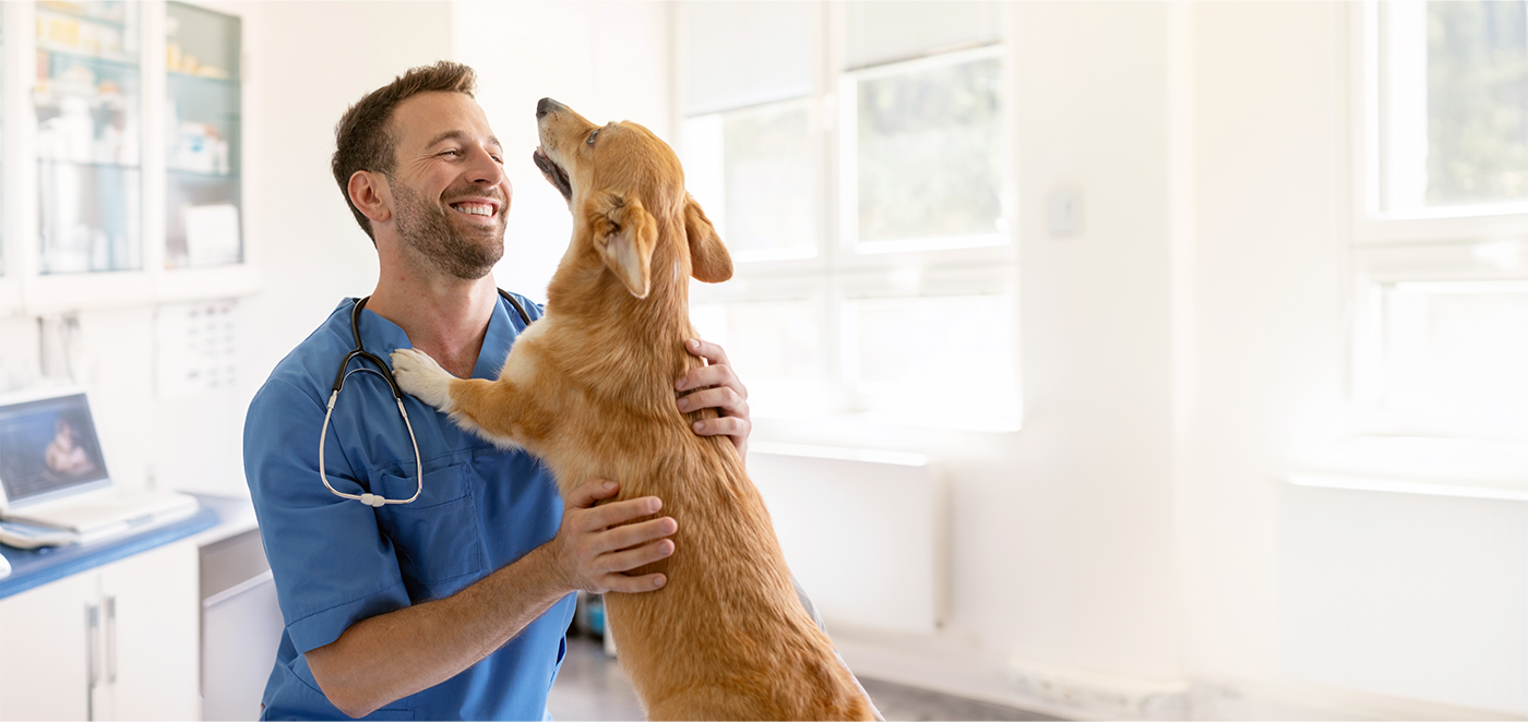 Veterinary Clinic where PetJoint is available